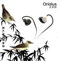 黑黄鹂-n Oriolus 黑黄鹂 2017版 灰黄鹂 鸟塞耳