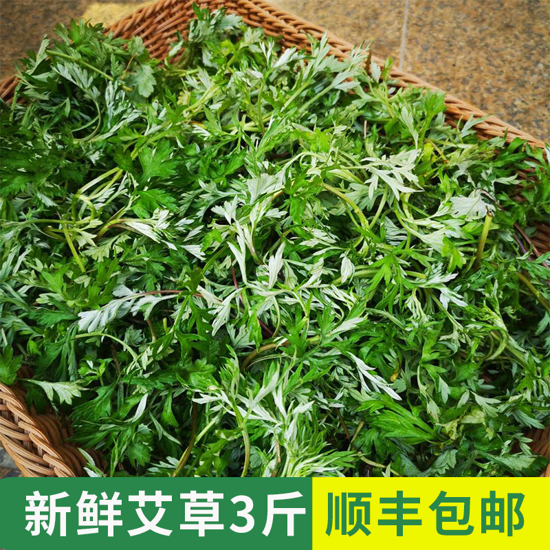 艾草新鲜3斤包邮叶菜类蔬菜野地菜野生整棵食用田艾叶青团糍粑