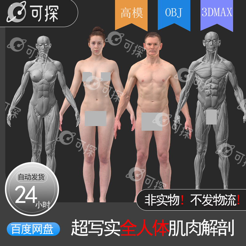 共433 件3d人体模型相关商品