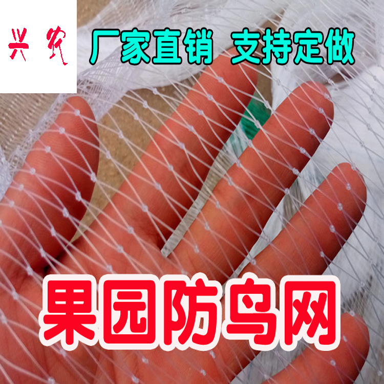 樱桃葡萄天网防鸟网果树果园防鸟网尼龙网防护罩家用农用阳台养殖