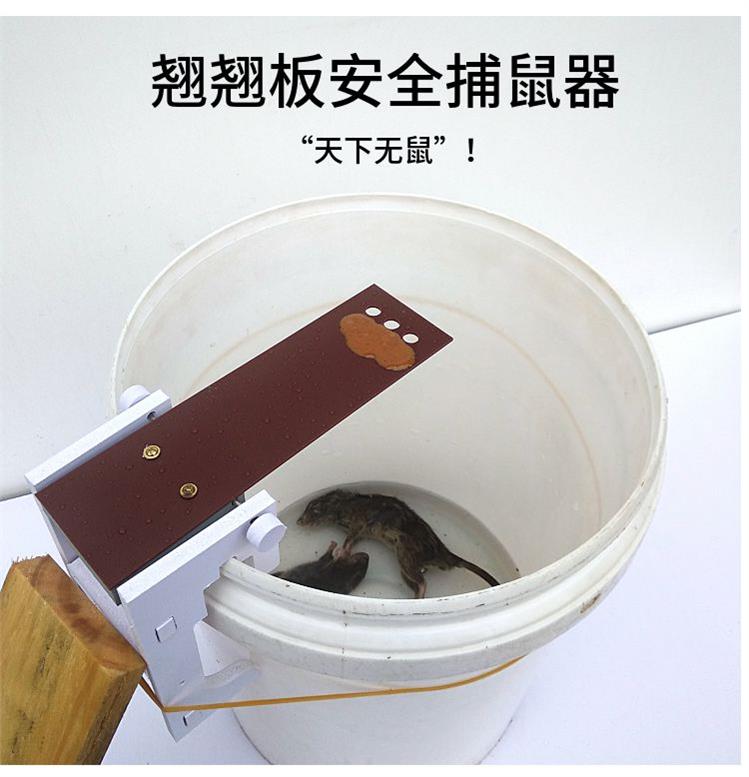 自制捕鼠器新品|自制捕鼠器价格|自制捕鼠器包邮|品牌