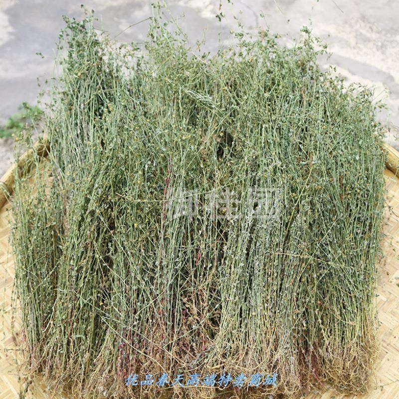 地耳草全草中药材田基黄野生新货雀舌草干品整株 500g 另售鸡骨.