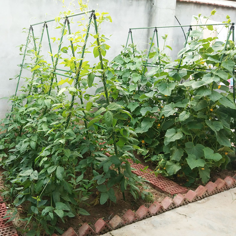 豆角黄瓜架子种菜阳台爬藤支架花园藤蔓植物牵引架庭院葡萄架户外