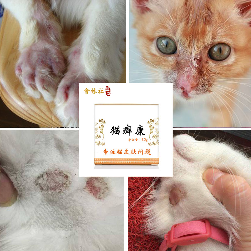 狗狗猫咪皮肤猫藓毛囊炎跳蚤螨虫猫癣皮肤溃烂