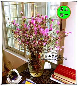 美产D'Addario达达里真的好吗 哪里买便宜价格