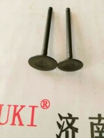 动机油封丽彩QS12-\/B 韵彩QS100T 气门油封组