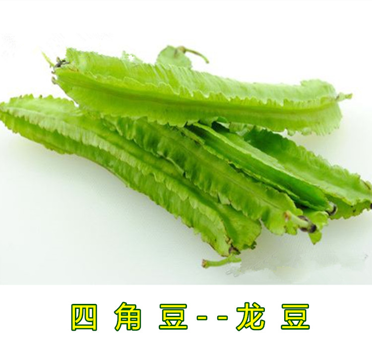 【珍果园】新鲜蔬菜 特色菜 海南四角豆 龙豆(2包--约250g)