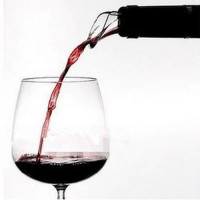 伊春蓝莓干红抗衰养生酒伊村山野野生蓝莓干红