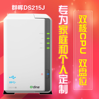 DS2100II-6+II\/nas网络云存储服务器DS215