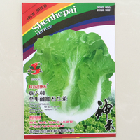 菜 加工出口首选包邮四月慢青菜种子小油菜小