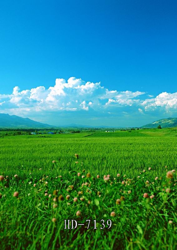 新款影楼拍照摄影背景纸主播蒙古民族风背景大草原蓝天白云风景布