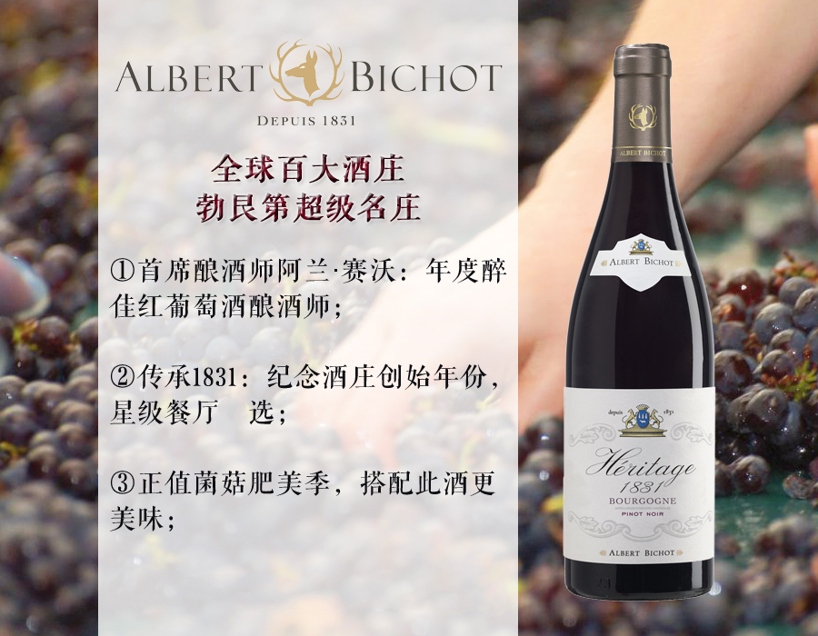 勃艮第大名家 亚伯必修传承1831黑皮诺干红 albert bichot 2016年