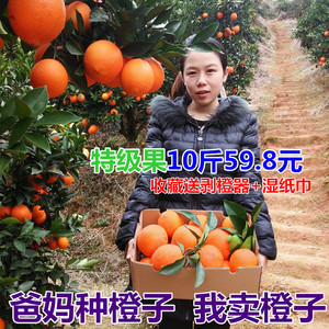 新鲜水果多汁甜橙子现摘现发农家时令赣南脐橙果园直供10斤装包邮脐橙水果