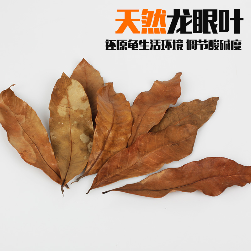 龟缸龙眼叶养龟调节水质生态造景装饰龟苗躲避垫材榄仁叶乌龟用品