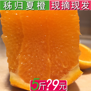 橙子夏橙孕妇新鲜水果脐橙现摘5斤时令非赣南脐橙橙子批 发包邮脐橙水果