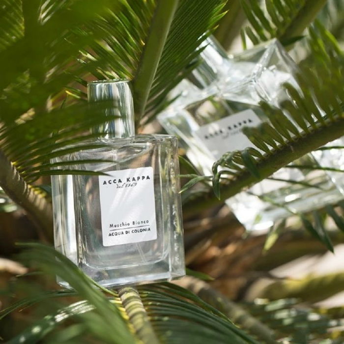 Acca香水推荐 Acca香水价格 Acca香水评价 介绍 淘宝海外