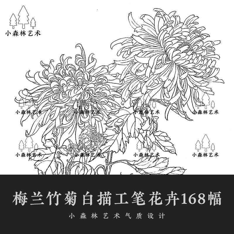 梅兰竹菊白描工笔花卉168幅国画线稿临摹古典古风底稿花鸟素材图