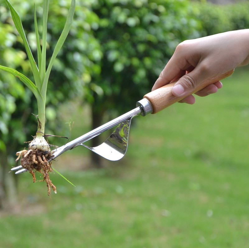 防滑挖苗园艺耐用起根器小型拔草器工具草坪草根园林拨草结实割?