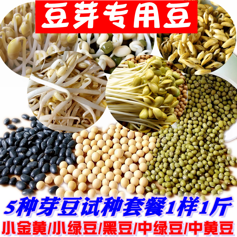 共233 件大豆种子相关商品