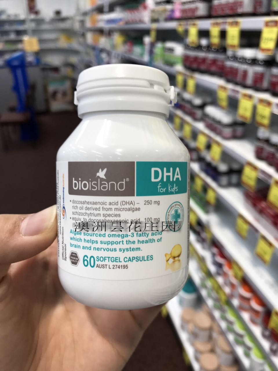 共854 件澳洲直邮孕妇dha相关商品