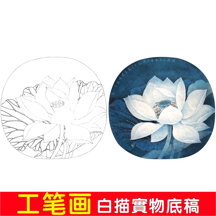 共569 件工笔荷花白描底稿相关商品