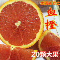 四川浦江玫瑰红血橙 中华红肉橙子塔罗科血橙