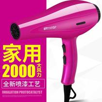 电吹风机发廊专用厂家直销家用大功率大电机大风力美发护发吹风