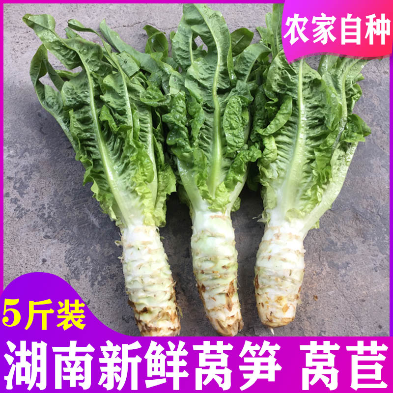 湖南农家自种新鲜莴笋 时令蔬菜莴苣脆青笋尖绿色有机蔬菜5斤包邮