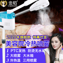 金稻美容院冷热双喷喷雾机美容仪器蒸汽脸部蒸脸补水美白排毒嫩肤