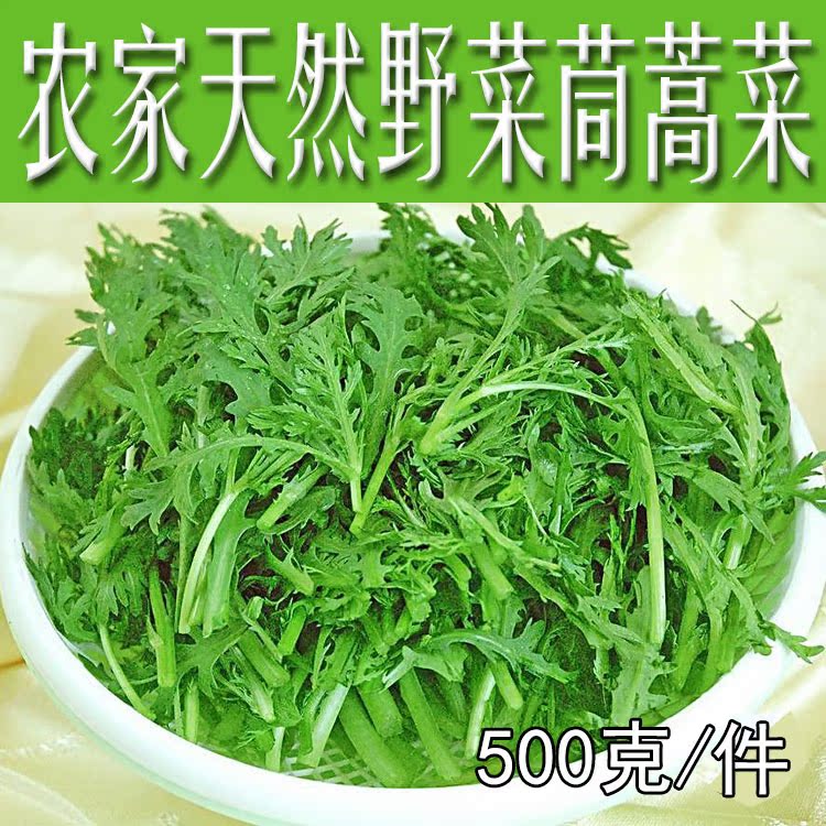 农家自产天然野菜 新鲜茼蒿菜 菊花菜 安全营养老少皆宜【现货】