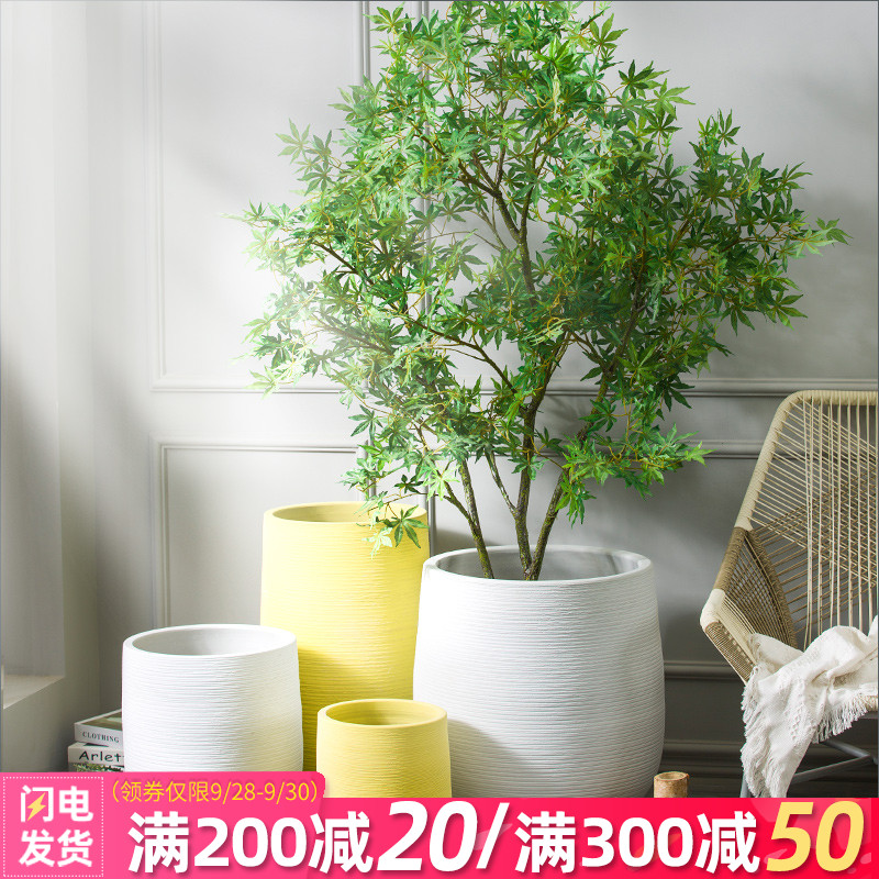 室内植物陶瓷花盆diy 室内植物陶瓷花盆种植 室内植物陶瓷花盆系统 购买 淘宝海外