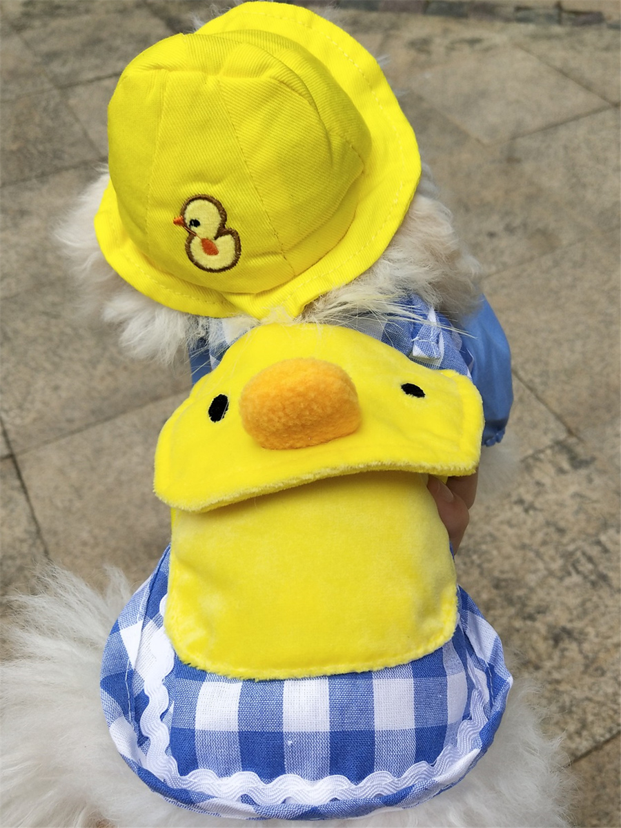 小黄鸭衣服搭配|小黄鸭衣服穿搭|小黄鸭衣服品牌|图片