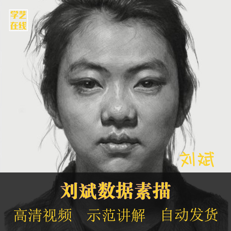 刘斌超写实人物头像数据尺素描示范讲解视频教材入门资料教程初学