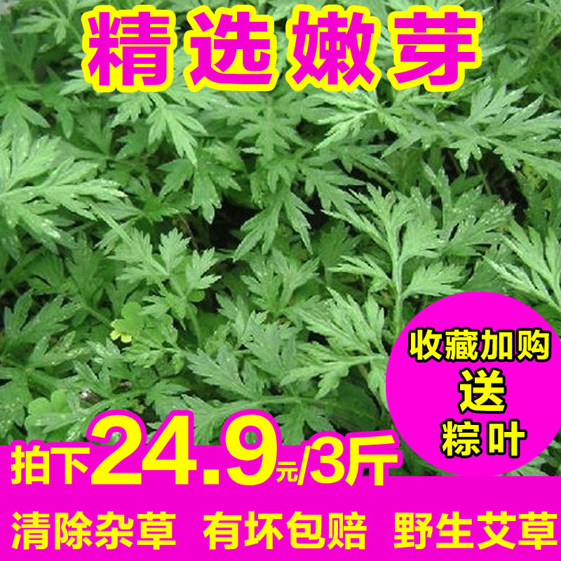 共224 件艾叶草新鲜包邮相关商品