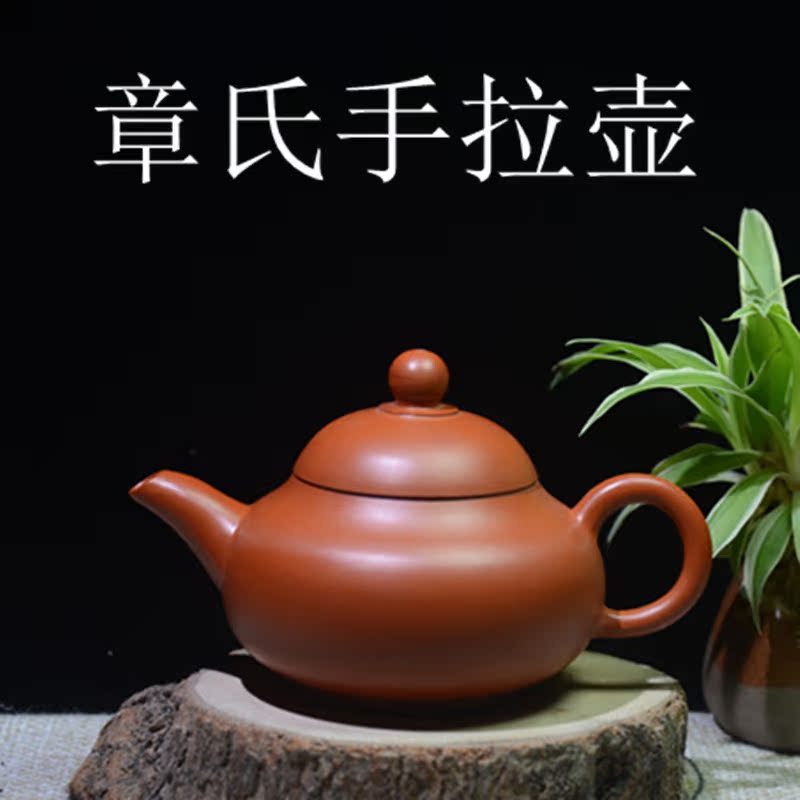 小乳丁壶 潮州手拉壶章氏手拉朱泥壶全手工家用泡茶壶110ml