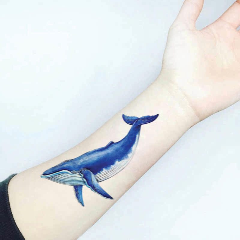 魔力原创蓝鲸鱼纹身贴情侣防水男女持久手臂刺青韩国手绘逼真