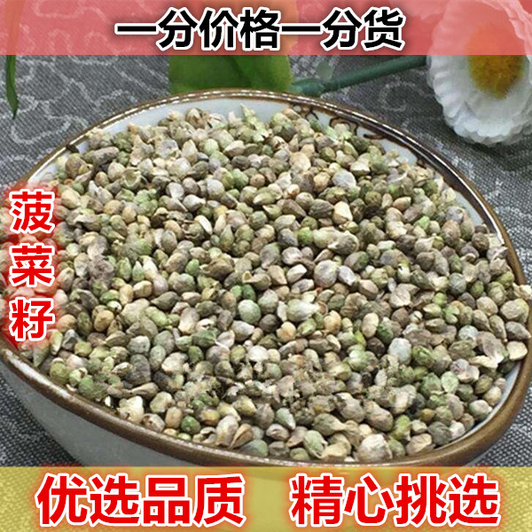 嘉煜 菠菜子 500g包邮 可食用 菠菜籽 非菠菜种子