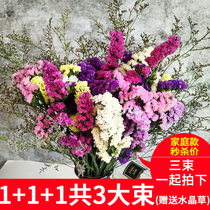 云南勿忘我干花花束水晶情人草 满天星家居摆设大束鲜花水养