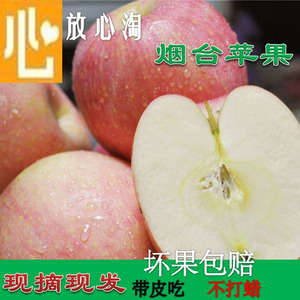 【天天特价】新鲜烟台栖霞红富士苹果生鲜水果70#不打蜡5斤包邮苹果水果