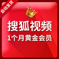 搜狐视频黄金会员激活码1个月 搜狐视频vip 月