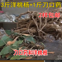 杨桃根-中药材石韦刀口药包邮全场满46元包邮