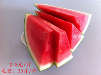 正宗麒麟瓜 早佳8424西瓜种子 无籽西瓜种子 黄