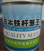 日本铁杆葱王-东大葱大田盆栽小院种热卖日本