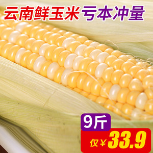 云南特产新鲜水果玉米甜玉米棒鲜嫩农家玉米脆玉米新鲜玉米9斤玉米新鲜