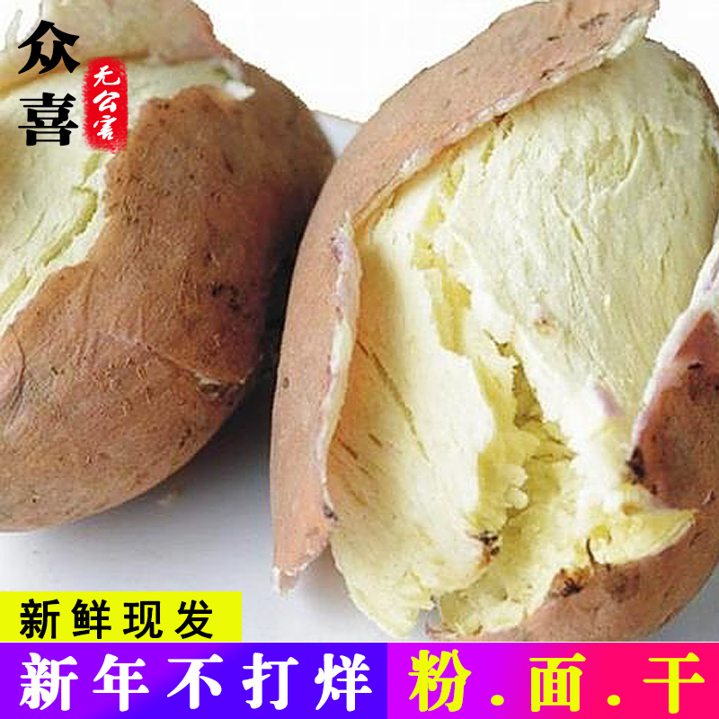 共594 件白心红薯地瓜相关商品