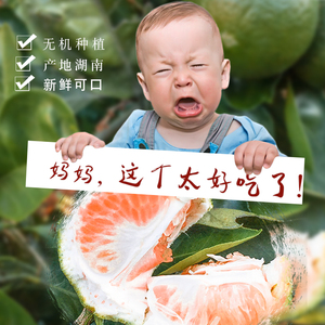【现货】新鲜水果青皮橘子蜜橘无籽桔子5斤包邮非冰糖橙赣州脐橙橘子