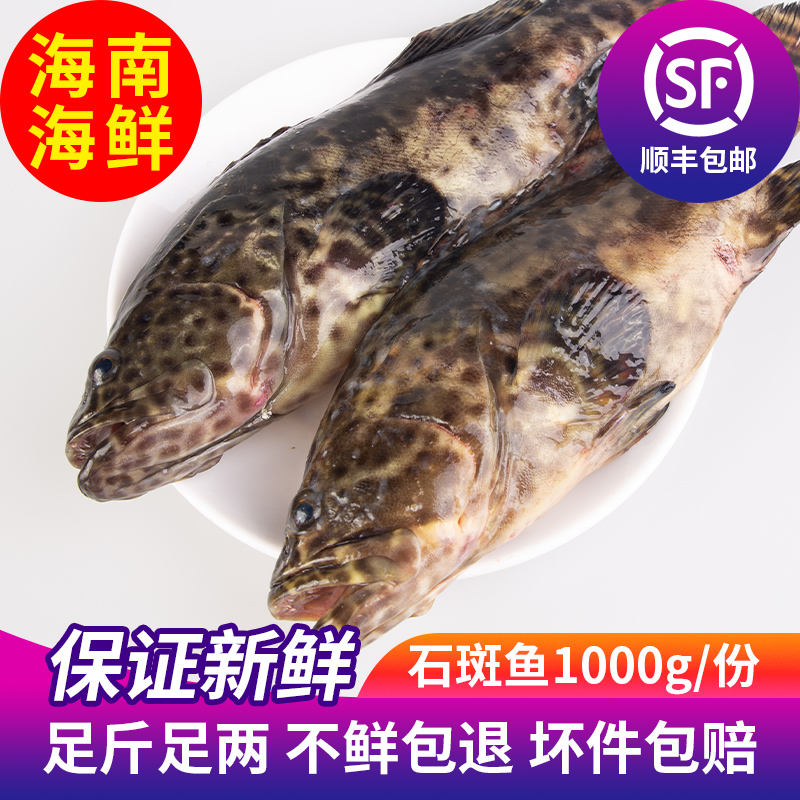 海鲜海南三亚新鲜野生海鱼石斑鱼活鲜两斤一份默认两条装顺丰空运