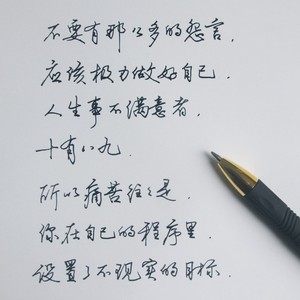 学生钢笔字帖行书楷书行楷选什么牌子好 同款