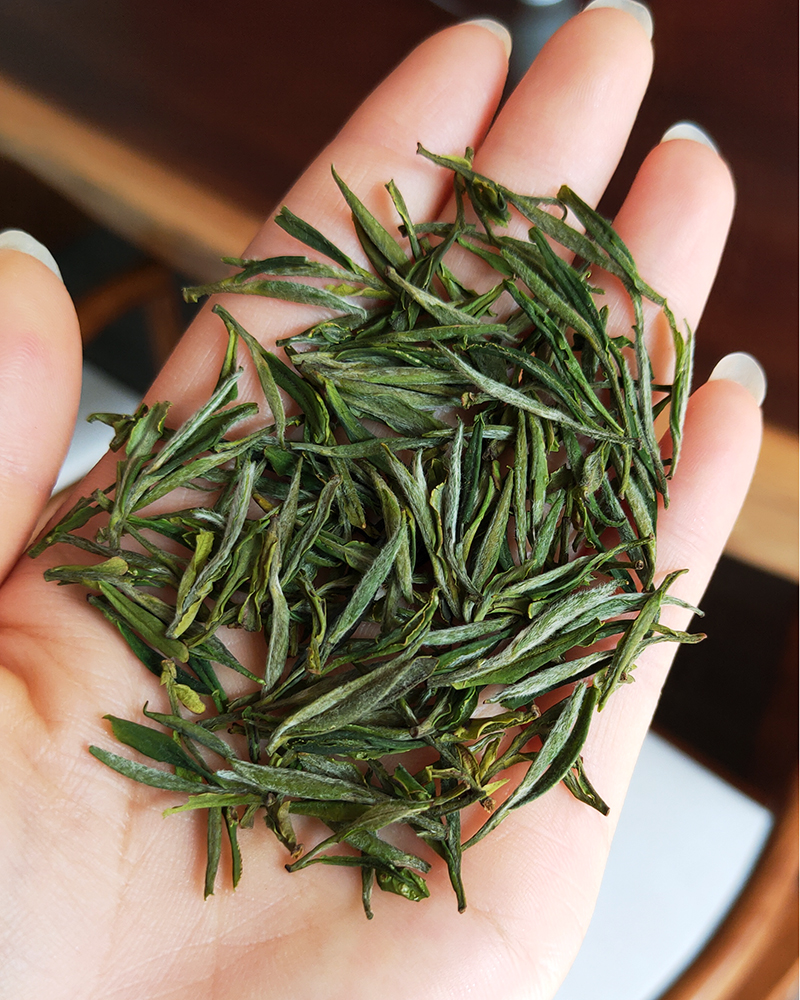 霍山黄芽2020新茶明前特级黄茶嫩芽正宗安徽黄茶叶250g两罐礼盒装