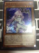 【浮幽樱】_浮幽樱推荐_品牌_价格_第1页